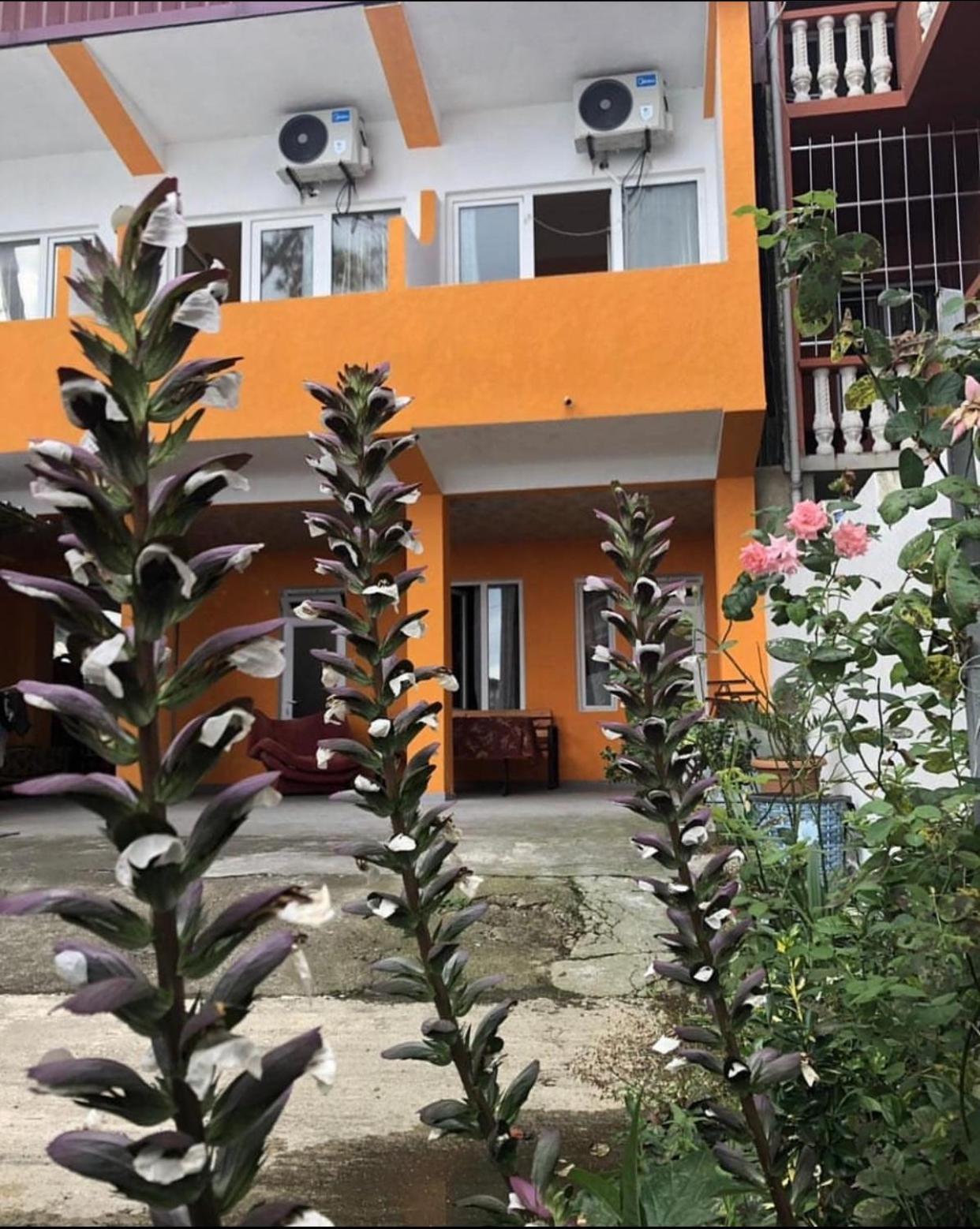 Guest House Orange コブレチ エクステリア 写真